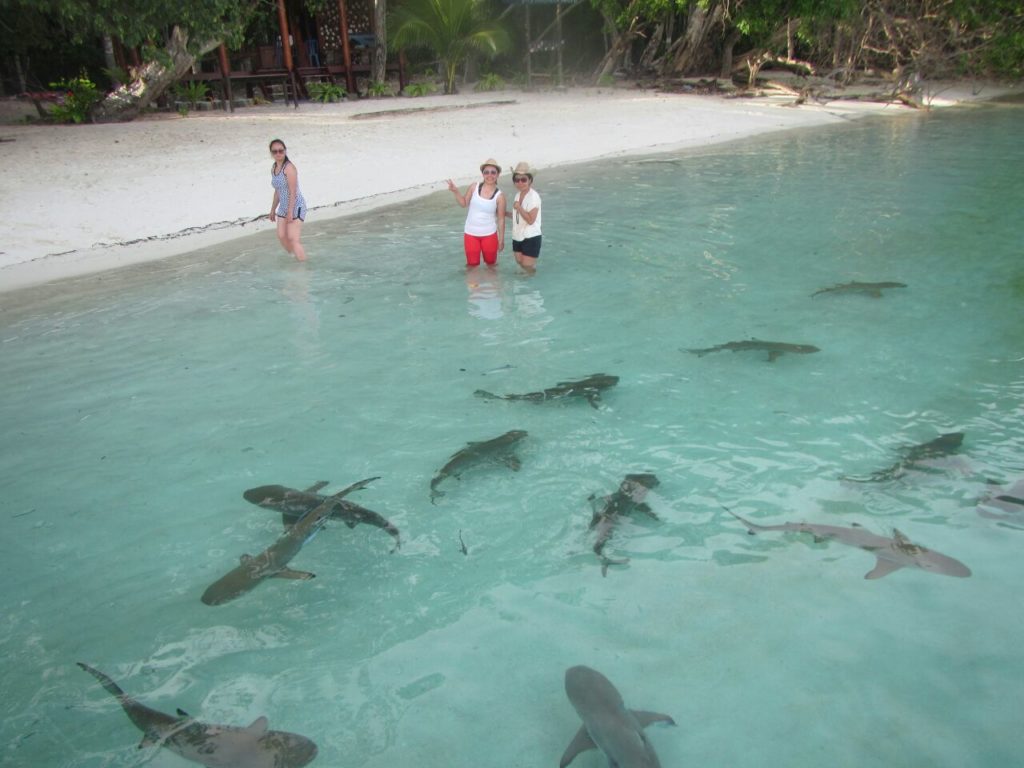 paket wisata raja ampat, paket tour raja ampat, paket wisata raja ampat 3 hari 2 malam, paket wisata raja ampat 2 hari 1 malam, paket wisata raja ampat all in, paket wisata raja ampat 4 hari 3 malam, paket wisata raja ampat 5 hari 4 malam, paket wisata raja ampat backpacker, paket wisata raja ampat untuk 2 orang, paket wisata raja ampat 2018, paket wisata raja ampat murah 2018, paket wisata raja ampat 2018 Terbaik, paket wisata raja ampat pelni, paket wisata raja ampat dari jogja, paket wisata raja ampat murah 2018, paket wisata raja ampat desember 2018, paket wisata raja ampat murah 2013, paket wisata raja ampat desember 2018, paket wisata raja ampat backpacker 2018 Terbaik, paket wisata raja ampat papua dari jakarta, paket wisata raja ampat papua 2018, paket tour raja ampat backpacker 2018, paket tour raja ampat backpacker, paket tour raja ampat backpacker 2018, paket tour raja ampat backpacker 2018 Terbaik, paket wisata raja ampat dari bandung, paket tour raja ampat dari bali, brosur paket wisata raja ampat, paket wisata ke raja ampat dari bali, biaya paket wisata ke raja ampat, paket wisata bulan madu ke raja ampat, berapa paket wisata ke raja ampat, contoh paket wisata raja ampat, paket wisata raja ampat dari sorong, paket wisata raja ampat dari malang, paket tour raja ampat dari jakarta, paket tour raja ampat dari surabaya, paket tour raja ampat desember 2018, paket tour raja ampat dari manado, paket wisata ke raja ampat dari surabaya, paket wisata ke raja ampat dari jogja, paket tour ke raja ampat dari jakarta, paket tour ke raja ampat dari surabaya, paket tour raja ampat harga, paket tour raja ampat 4 hari 3 malam, harga paket wisata raja ampat 2018, harga paket wisata raja ampat 2018 Terbaik, paket wisata honeymoon raja ampat, harga paket wisata ke raja ampat 2018, harga paket tour wisata raja ampat, harga paket wisata dari sorong ke raja ampat, paket wisata raja ampat dari jakarta, paket wisata ke raja ampat, paket wisata ke raja ampat 2018, paket wisata ke raja ampat 2018 Terbaik, paket wisata raja ampat murah, paket wisata raja ampat murah 2018 Terbaik, paket tour raja ampat murah 2018, paket liburan ke raja ampat murah 2018, paket wisata murah ke raja ampat 2018, paket tour raja ampat 2 orang, paket wisata raja ampat papua, paket tour raja ampat papua, paket tour raja ampat pelni, promo paket wisata raja ampat, paket wisata raja ampat sorong, paket wisata raja ampat termurah, paket wisata raja ampat terbaru, paket wisata raja ampat dari yogyakarta, paket tour raja ampat 2018, paket tour raja ampat 3 hari 2 malam, paket tour raja ampat 2018, paket tour raja ampat 2018 Terbaik, paket tour raja ampat 2018, paket tour raja ampat dari jogja, paket tour ke raja ampat dari bali, paket tour backpacker ke raja ampat, contoh paket tour raja ampat, paket tour raja ampat dari sorong, harga paket tour raja ampat 2018, harga paket tour raja ampat 2018 Terbaik, paket tour hemat raja ampat, paket tour honeymoon raja ampat, paket tour raja ampat dari jayapura, paket tour jakarta - raja ampat, paket tour ke raja ampat, paket tour ke raja ampat 2018, paket tour ke raja ampat 2018 Terbaik, paket tour ke pulau raja ampat, paket tour murah ke raja ampat 2018, paket tour raja ampat murah, paket tour raja ampat murah 2017, paket tour misool raja ampat, paket tour travel ke raja ampat, paket tour wisata raja ampat, harga paket liburan raja ampat 2018, paket wisata murah ke raja ampat 2018, harga paket liburan raja ampat 2018 Terbaik, paket liburan murah ke raja ampat 2018 Terbaik, paket wisata pelni ke raja ampat, paket tour raja ampat murah 2018, paket wisata ke raja ampat dari bandung, biaya paket tour ke raja ampat, harga paket liburan ke raja ampat 2018, paket wisata ke raja ampat dari jakarta, paket liburan ke raja ampat dari surabaya, paket liburan ke raja ampat dari jakarta, paket wisata ke raja ampat murah, harga paket wisata ke raja ampat papua, harga paket tour ke raja ampat papua, paket wisata bulan madu raja ampat, paket liburan ke raja ampat 2018, paket wisata ke raja ampat papua, paket tour ke raja ampat dari sorong, harga paket tour ke raja ampat, harga paket tour raja ampat papua, harga paket wisata raja ampat papua, harga paket wisata raja ampat