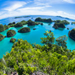 paket wisata raja ampat, paket tour raja ampat, paket wisata raja ampat 3 hari 2 malam, paket wisata raja ampat 2 hari 1 malam, paket wisata raja ampat all in, paket wisata raja ampat 4 hari 3 malam, paket wisata raja ampat 5 hari 4 malam, paket wisata raja ampat backpacker, paket wisata raja ampat untuk 2 orang, paket wisata raja ampat 2018, paket wisata raja ampat murah 2018, paket wisata raja ampat 2018 Terbaik, paket wisata raja ampat pelni, paket wisata raja ampat dari jogja, paket wisata raja ampat murah 2018, paket wisata raja ampat desember 2018, paket wisata raja ampat murah 2013, paket wisata raja ampat desember 2018, paket wisata raja ampat backpacker 2018 Terbaik, paket wisata raja ampat papua dari jakarta, paket wisata raja ampat papua 2018, paket tour raja ampat backpacker 2018, paket tour raja ampat backpacker, paket tour raja ampat backpacker 2018, paket tour raja ampat backpacker 2018 Terbaik, paket wisata raja ampat dari bandung, paket tour raja ampat dari bali, brosur paket wisata raja ampat, paket wisata ke raja ampat dari bali, biaya paket wisata ke raja ampat, paket wisata bulan madu ke raja ampat, berapa paket wisata ke raja ampat, contoh paket wisata raja ampat, paket wisata raja ampat dari sorong, paket wisata raja ampat dari malang, paket tour raja ampat dari jakarta, paket tour raja ampat dari surabaya, paket tour raja ampat desember 2018, paket tour raja ampat dari manado, paket wisata ke raja ampat dari surabaya, paket wisata ke raja ampat dari jogja, paket tour ke raja ampat dari jakarta, paket tour ke raja ampat dari surabaya, paket tour raja ampat harga, paket tour raja ampat 4 hari 3 malam, harga paket wisata raja ampat 2018, harga paket wisata raja ampat 2018 Terbaik, paket wisata honeymoon raja ampat, harga paket wisata ke raja ampat 2018, harga paket tour wisata raja ampat, harga paket wisata dari sorong ke raja ampat, paket wisata raja ampat dari jakarta, paket wisata ke raja ampat, paket wisata ke raja ampat 2018, paket wisata ke raja ampat 2018 Terbaik, paket wisata raja ampat murah, paket wisata raja ampat murah 2018 Terbaik, paket tour raja ampat murah 2018, paket liburan ke raja ampat murah 2018, paket wisata murah ke raja ampat 2018, paket tour raja ampat 2 orang, paket wisata raja ampat papua, paket tour raja ampat papua, paket tour raja ampat pelni, promo paket wisata raja ampat, paket wisata raja ampat sorong, paket wisata raja ampat termurah, paket wisata raja ampat terbaru, paket wisata raja ampat dari yogyakarta, paket tour raja ampat 2018, paket tour raja ampat 3 hari 2 malam, paket tour raja ampat 2018, paket tour raja ampat 2018 Terbaik, paket tour raja ampat 2018, paket tour raja ampat dari jogja, paket tour ke raja ampat dari bali, paket tour backpacker ke raja ampat, contoh paket tour raja ampat, paket tour raja ampat dari sorong, harga paket tour raja ampat 2018, harga paket tour raja ampat 2018 Terbaik, paket tour hemat raja ampat, paket tour honeymoon raja ampat, paket tour raja ampat dari jayapura, paket tour jakarta - raja ampat, paket tour ke raja ampat, paket tour ke raja ampat 2018, paket tour ke raja ampat 2018 Terbaik, paket tour ke pulau raja ampat, paket tour murah ke raja ampat 2018, paket tour raja ampat murah, paket tour raja ampat murah 2017, paket tour misool raja ampat, paket tour travel ke raja ampat, paket tour wisata raja ampat, harga paket liburan raja ampat 2018, paket wisata murah ke raja ampat 2018, harga paket liburan raja ampat 2018 Terbaik, paket liburan murah ke raja ampat 2018 Terbaik, paket wisata pelni ke raja ampat, paket tour raja ampat murah 2018, paket wisata ke raja ampat dari bandung, biaya paket tour ke raja ampat, harga paket liburan ke raja ampat 2018, paket wisata ke raja ampat dari jakarta, paket liburan ke raja ampat dari surabaya, paket liburan ke raja ampat dari jakarta, paket wisata ke raja ampat murah, harga paket wisata ke raja ampat papua, harga paket tour ke raja ampat papua, paket wisata bulan madu raja ampat, paket liburan ke raja ampat 2018, paket wisata ke raja ampat papua, paket tour ke raja ampat dari sorong, harga paket tour ke raja ampat, harga paket tour raja ampat papua, harga paket wisata raja ampat papua, harga paket wisata raja ampat