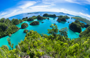 Paket Wisata Raja Ampat halal