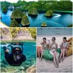 paket wisata raja ampat, paket tour raja ampat, paket wisata raja ampat 3 hari 2 malam, paket wisata raja ampat 2 hari 1 malam, paket wisata raja ampat all in, paket wisata raja ampat 4 hari 3 malam, paket wisata raja ampat 5 hari 4 malam, paket wisata raja ampat backpacker, paket wisata raja ampat untuk 2 orang, paket wisata raja ampat 2019, paket wisata raja ampat murah 2019, paket wisata raja ampat 2019 Terbaik, paket wisata raja ampat pelni, paket wisata raja ampat dari jogja, paket wisata raja ampat desember 2019, paket wisata raja ampat murah 2013, paket wisata raja ampat backpacker 2019 Terbaik, paket wisata raja ampat papua dari jakarta, paket wisata raja ampat papua 2019, paket tour raja ampat backpacker 2019, paket tour raja ampat backpacker, paket tour raja ampat backpacker 2019 Terbaik, paket wisata raja ampat dari bandung, paket tour raja ampat dari bali, brosur paket wisata raja ampat, paket wisata ke raja ampat dari bali, biaya paket wisata ke raja ampat, paket wisata bulan madu ke raja ampat, berapa paket wisata ke raja ampat, contoh paket wisata raja ampat, paket wisata raja ampat dari sorong, paket wisata raja ampat dari malang, paket tour raja ampat dari jakarta, paket tour raja ampat dari surabaya, paket tour raja ampat desember 2019, paket tour raja ampat dari manado, paket wisata ke raja ampat dari surabaya, paket wisata ke raja ampat dari jogja, paket tour ke raja ampat dari jakarta, paket tour ke raja ampat dari surabaya, paket tour raja ampat harga, paket tour raja ampat 4 hari 3 malam, harga paket wisata raja ampat 2019, harga paket wisata raja ampat 2019 Terbaik, paket wisata honeymoon raja ampat, harga paket wisata ke raja ampat 2019, harga paket tour wisata raja ampat, harga paket wisata dari sorong ke raja ampat, paket wisata raja ampat dari jakarta, paket wisata ke raja ampat, paket wisata ke raja ampat 2019, paket wisata ke raja ampat 2019 Terbaik, paket wisata raja ampat murah, paket wisata raja ampat murah 2019 Terbaik, paket tour raja ampat murah 2019, paket liburan ke raja ampat murah 2019, paket wisata murah ke raja ampat 2019, paket tour raja ampat 2 orang, paket wisata raja ampat papua, paket tour raja ampat papua, paket tour raja ampat pelni, promo paket wisata raja ampat, paket wisata raja ampat sorong, paket wisata raja ampat termurah, paket wisata raja ampat terbaru, paket wisata raja ampat dari yogyakarta, paket tour raja ampat 2019, paket tour raja ampat 3 hari 2 malam, paket tour raja ampat 2019 Terbaik, paket tour raja ampat dari jogja, paket tour ke raja ampat dari bali, paket tour backpacker ke raja ampat, contoh paket tour raja ampat, paket tour raja ampat dari sorong, harga paket tour raja ampat 2019, harga paket tour raja ampat 2019 Terbaik, paket tour hemat raja ampat, paket tour honeymoon raja ampat, paket tour raja ampat dari jayapura, paket tour jakarta - raja ampat, paket tour ke raja ampat, paket tour ke raja ampat 2019, paket tour ke raja ampat 2019 Terbaik, paket tour ke pulau raja ampat, paket tour murah ke raja ampat 2019, paket tour raja ampat murah, paket tour raja ampat murah 2017, paket tour misool raja ampat, paket tour travel ke raja ampat, paket tour wisata raja ampat, harga paket liburan raja ampat 2019, harga paket liburan raja ampat 2019 Terbaik, paket liburan murah ke raja ampat 2019 Terbaik, paket wisata pelni ke raja ampat, paket wisata ke raja ampat dari bandung, biaya paket tour ke raja ampat, harga paket liburan ke raja ampat 2019, paket wisata ke raja ampat dari jakarta, paket liburan ke raja ampat dari surabaya, paket liburan ke raja ampat dari jakarta, paket wisata ke raja ampat murah, harga paket wisata ke raja ampat papua, harga paket tour ke raja ampat papua, paket wisata bulan madu raja ampat, paket liburan ke raja ampat 2019, paket wisata ke raja ampat papua, paket tour ke raja ampat dari sorong, harga paket tour ke raja ampat, harga paket tour raja ampat papua, harga paket wisata raja ampat papua, harga paket wisata raja ampat