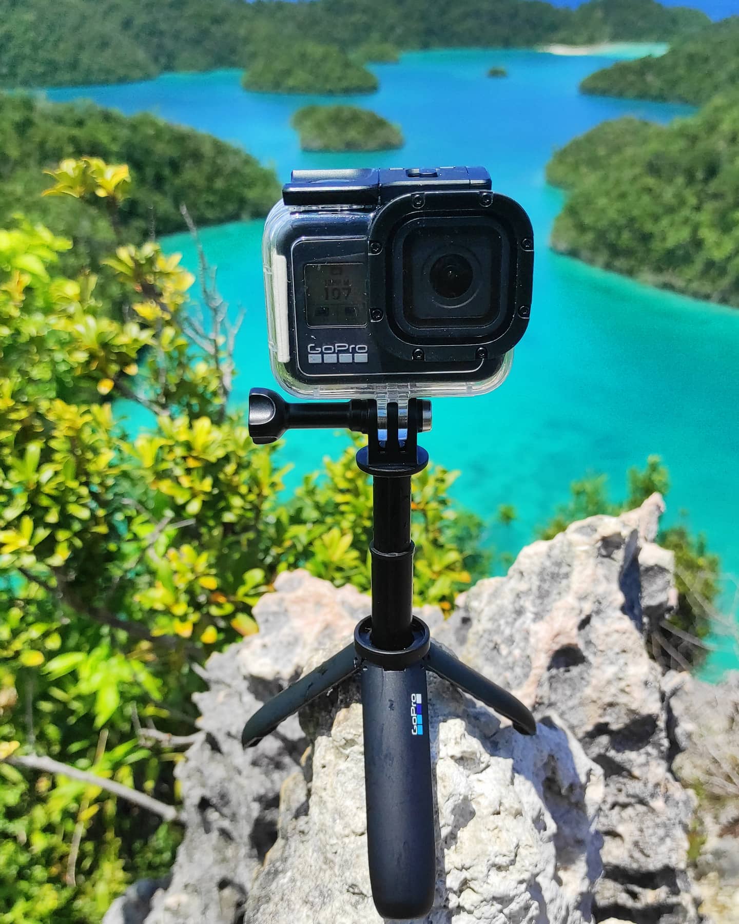 Biaya Wisata Raja Ampat Oasis Raja Ampat