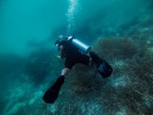 Paket Belajar Diving Raja Ampat Papua HARGA TERJANGKAU