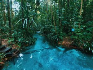 VIP Tour Wisata Raja Ampat 3 Hari 2 Malam