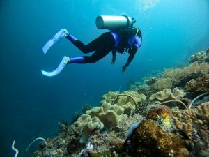 Paket Belajar Diving Raja Ampat Papua HARGA TERJANGKAU