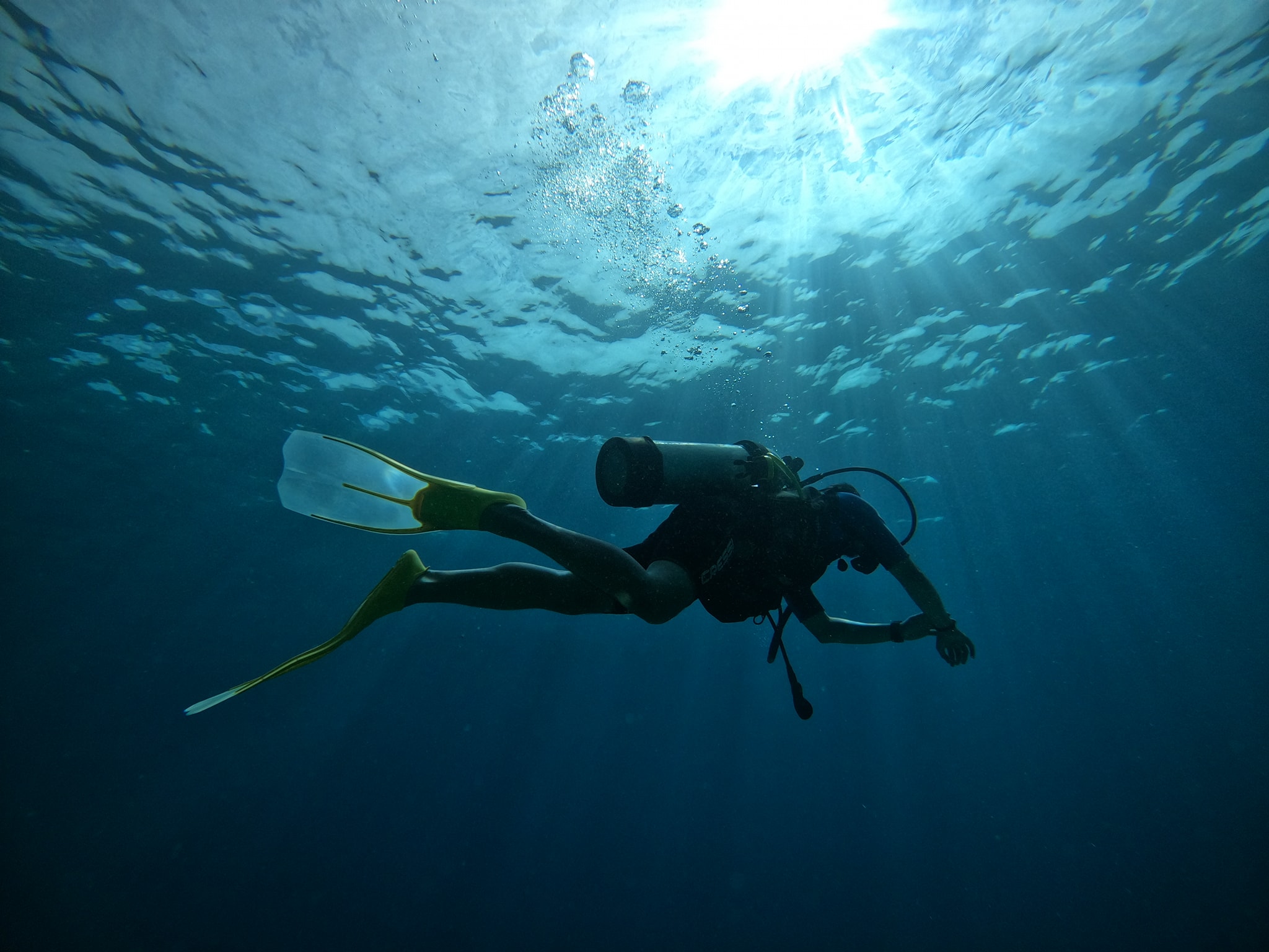 Paket Diving Raja Ampat Pemula Terpercaya