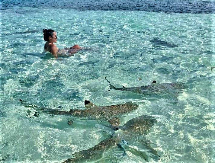 Wisata di Raja Ampat Papua