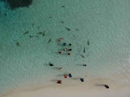 Wisata di Raja Ampat Papua