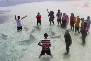 VIP Tour Wisata Raja Ampat 3 Hari 2 Malam