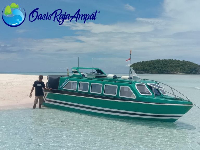 speed boat