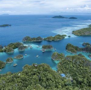 Paket Tour 1 Hari Raja Ampat Terlaris!