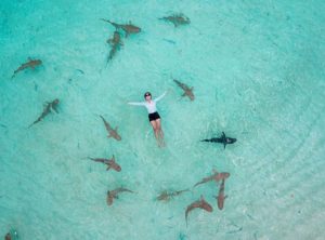 VIP Tour Wisata Raja Ampat 7 Hari 6 Malam