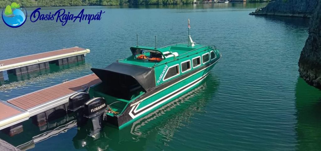 Telp/Wa 0811436545 Sewa Speed Boat Di Sorong Raja Ampat