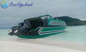 Paket Tour 1 Hari Raja Ampat Terlaris!