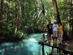 Paket tour Raja Ampat 6 hari terjamin start Sorong. Kunjungi Arborek dan Piaynemo. Nikmati perjalanan berkesan. Pesan sekarang!