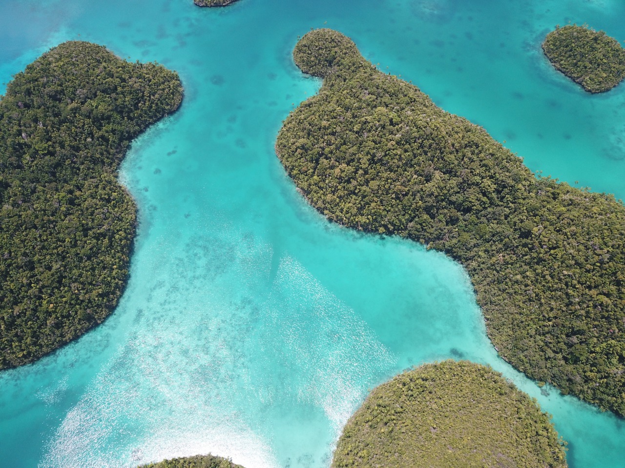 Paket Wisata Raja Ampat Terjangkau Yang Layak Di Booking