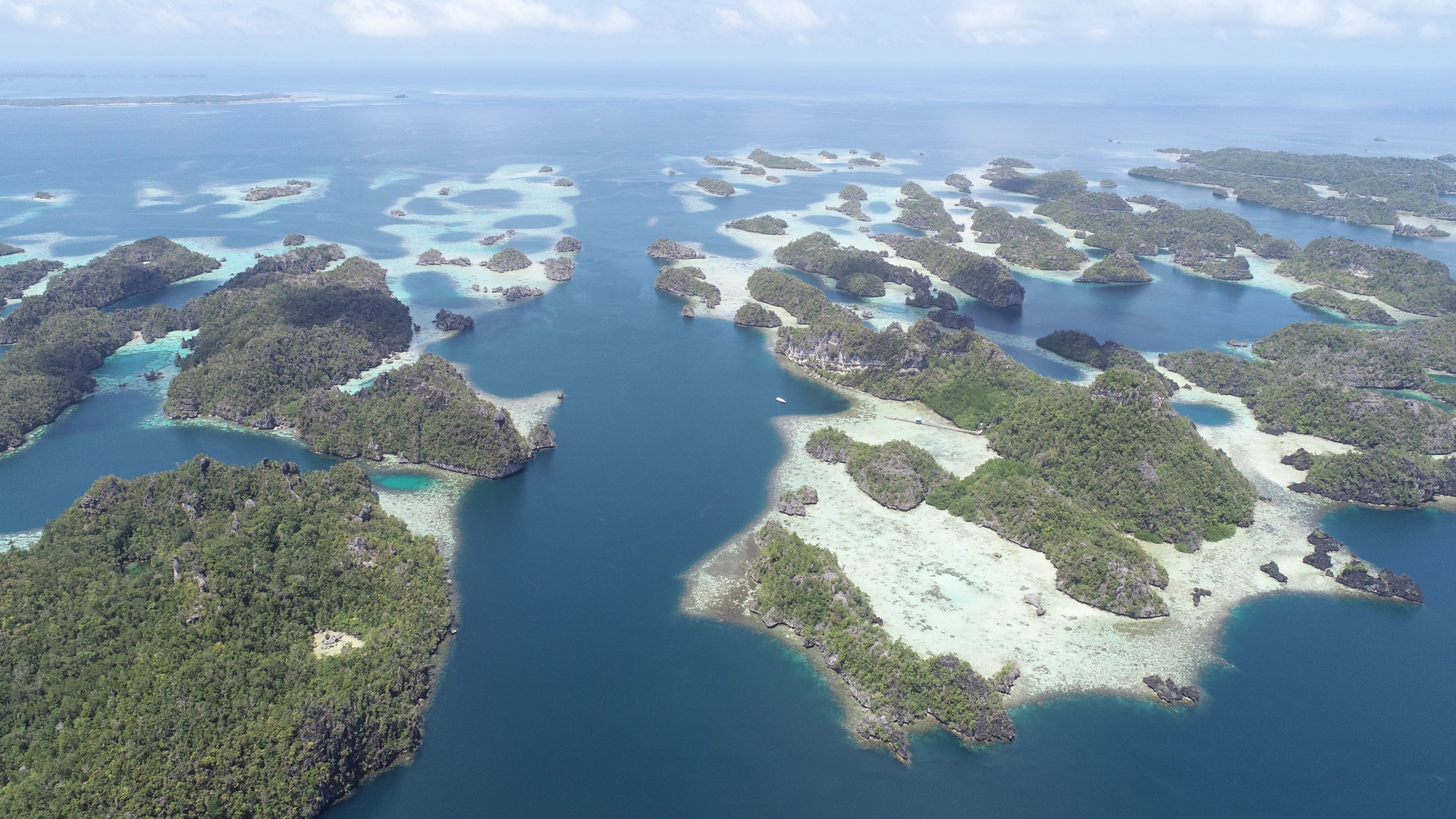 Terbaru 5 Alasan memilih tour raja ampat 1 hari