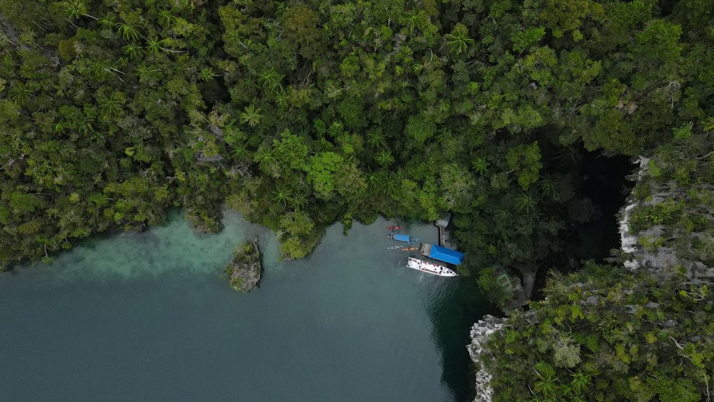 Terbaru 5 Alasan memilih tour raja ampat 1 hari