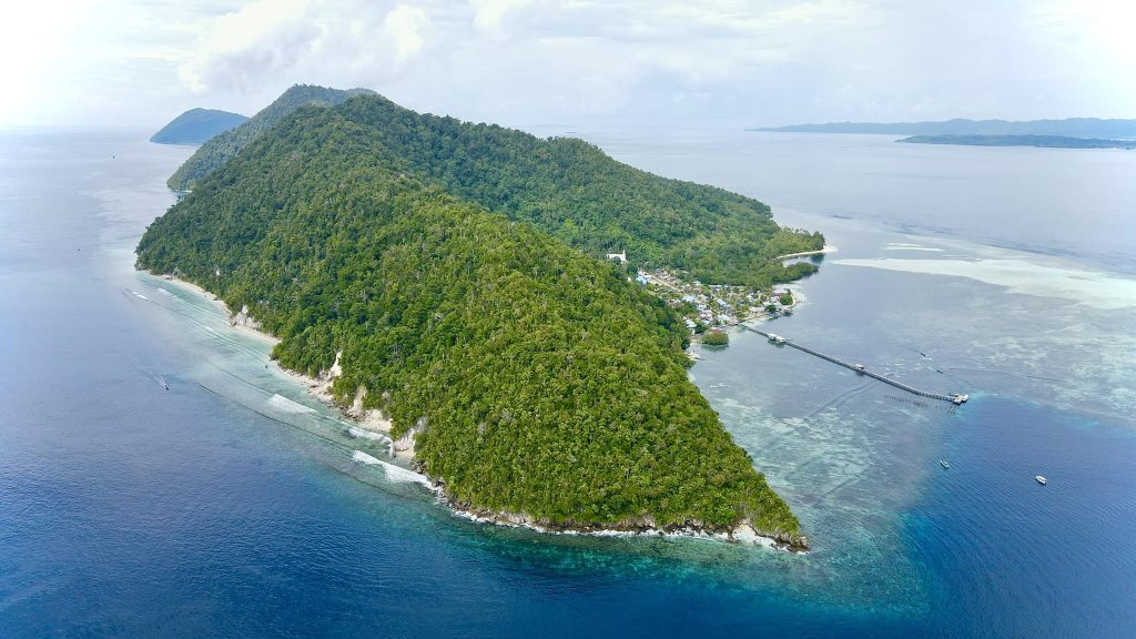 5 Alasan Memilih Tour Raja Ampat 1 Hari