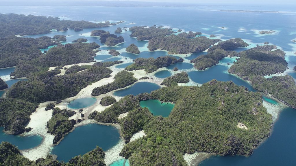 Paket Wisata Raja Ampat Terbaik Di Papua