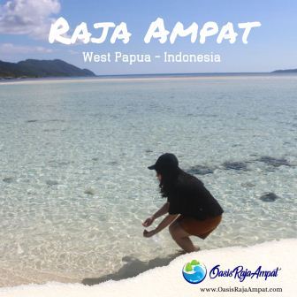 Wisata Tour Misool Raja Ampat