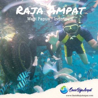 Tips Berwisata Ke Raja Ampat Agar Lebih Seru