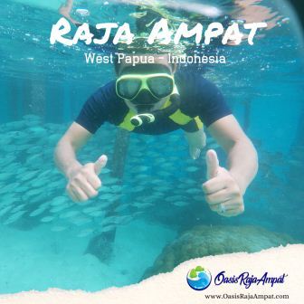 Paket Tour Wisata Raja Ampat 3 Hari 2 Malam Penawaran Terbaik