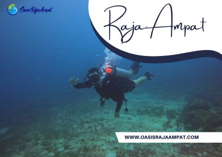 Tempat Diving Dan Snorkeling Terbaik Di Raja Ampat