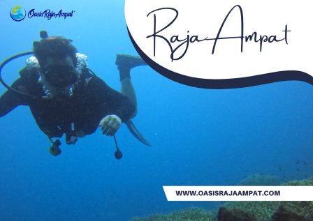 Tempat Diving Dan Snorkeling Terbaik Di Raja Ampat