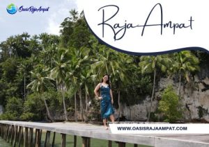 Tips Agar Perjalanan Raja Ampat lancar