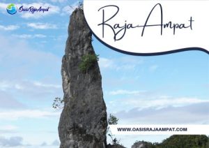 Paket Wisata Destinasi Menarik Di Raja Ampat