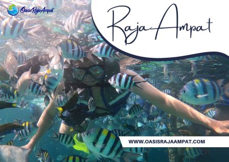 Tempat Diving Dan Snorkeling Terbaik Di Raja Ampat