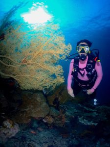 Paket Diving Raja Ampat 7 Hari 6 Malam UNTUK PEMULA