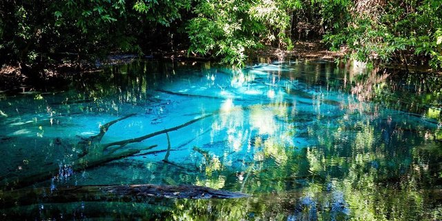 Tempat Wisata Di Kali Biru Raja Ampat Papua Barat
