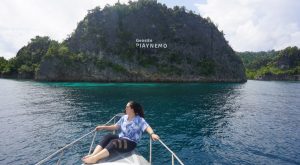 Paket Tour Wisata 4 Hari Raja Ampat