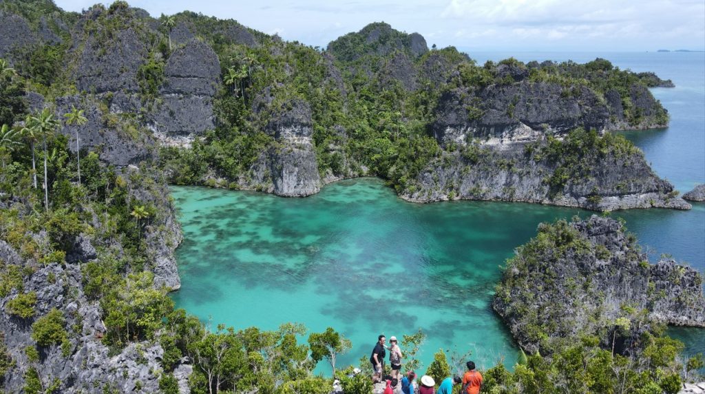 Terdapat 540 jenis spesies karang (75% dari seluruh jenis karang yang ada di dunia), beragam ikan hias, dan moluska yang ditemukan di laut Raja Ampat.
