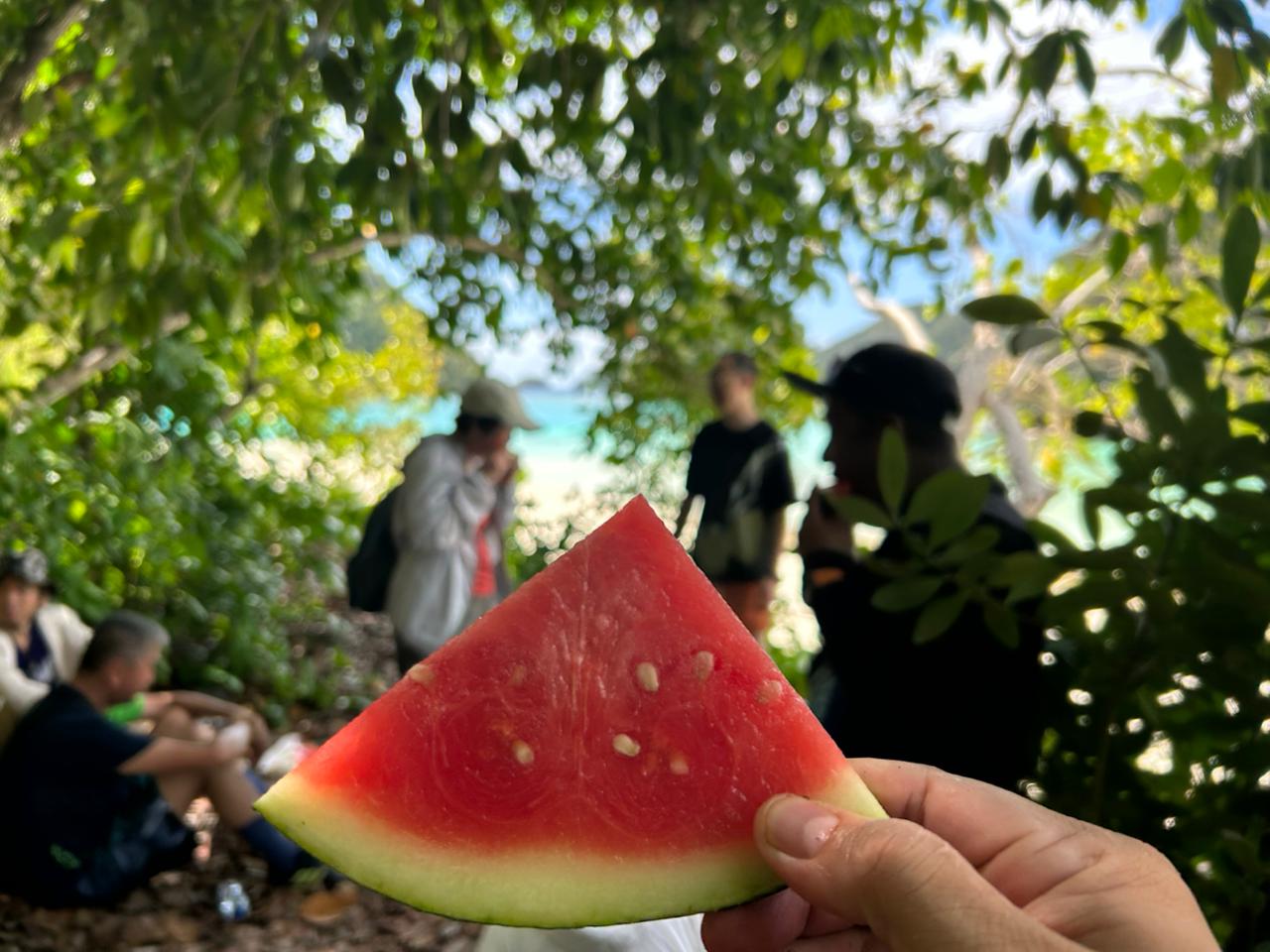 Private Tour Raja Ampat Papua 3 Hari 2 Malam Halal by OASIS