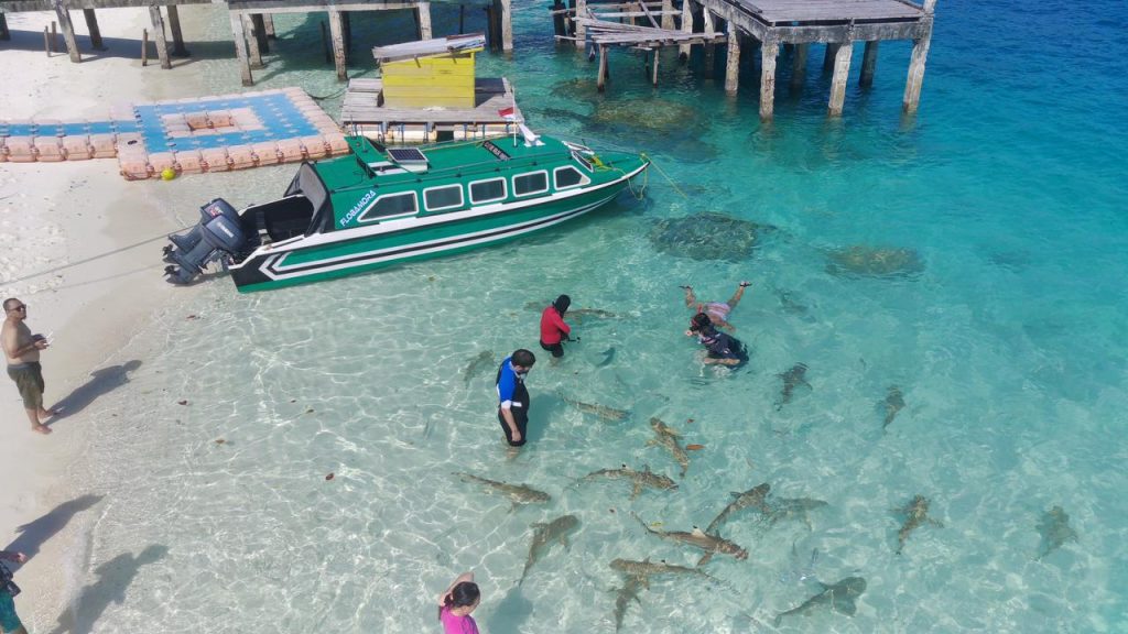 Paket Wisata Raja Ampat 4 Hari 3 Malam Wayag Piaynemo