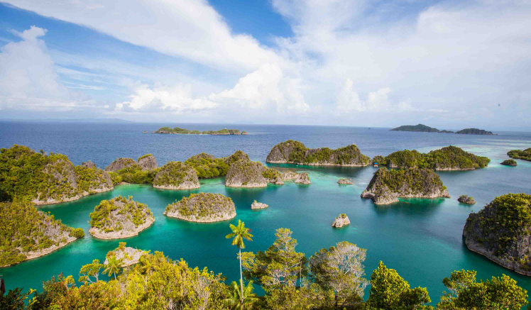 paket wisata raja ampat 3h2m