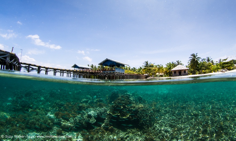 Desa Wisata Arborek, Destinasi Populer di Raja Ampat