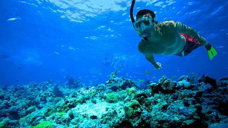 Tips Agar Snorkeling Dengan Aman dan Mudah Di Raja Ampat