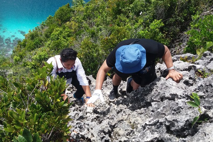 Tips - Tips Mudah Dan Aman Tracking Di Raja Ampat