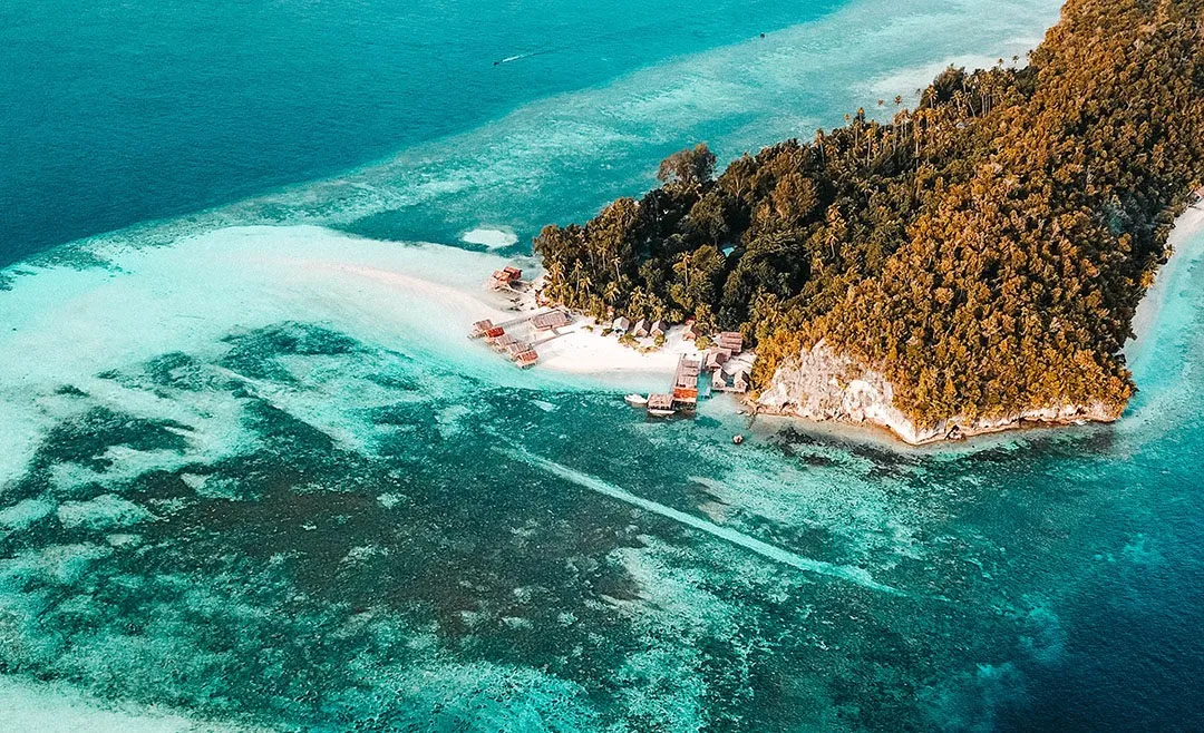 Aktivitas Diving Seru, Saat Kamu Berlibur Di Raja Ampat Papua