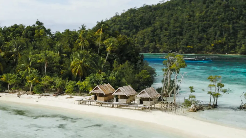 Aktivitas Diving Seru, Saat Kamu Berlibur Di Raja Ampat Papua