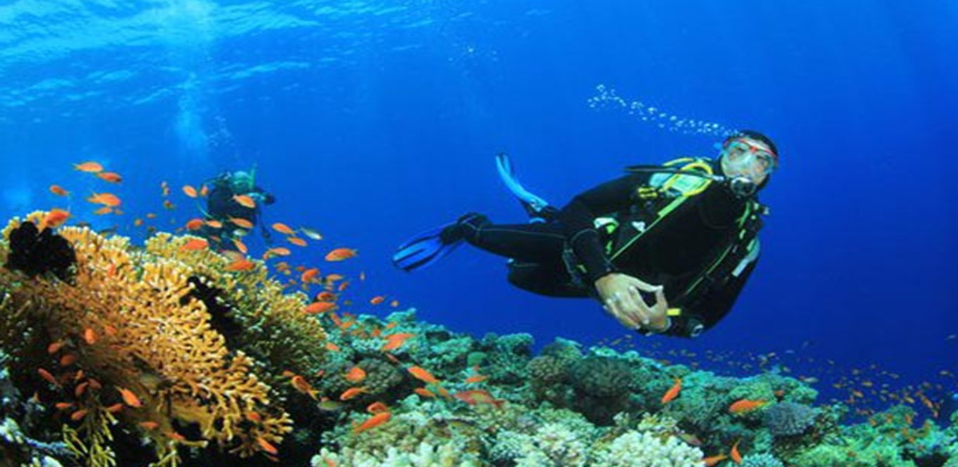 aktivitas di dalam laut raja ampat aktivitas di dalam laut raja ampat