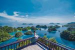 Paket wisata Raja Ampat 4D3N kredibel. Kunjungi Piaynemo dan Telaga Bintang. Perjalanan aman dan terjamin. Lihat detailnya!