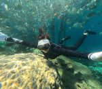 Paket wisata Raja Ampat 7D6N meyakinkan. Jelajahi Yenbuba dan Pasir Timbul start Sorong. Liburan seru. Klik sekarang!