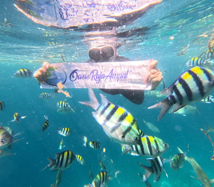 Paket Wisata Raja Ampat 4 Hari 3 Malam Piaynemo, Telaga Bintang, Sawandarek, Pasir Timbul Raja Ampat.