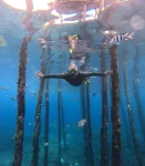 Paket tour 3 hari liburan Raja Ampat paling top. Destinasi impian dengan petualangan yang mengagumkan. Pilihan favorit untuk liburan panjang.