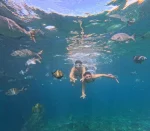 Paket tour 2 hari 1 malam Raja Ampat seru. Dapatkan pengalaman liburan yang fantastis. Pilihan utama untuk liburan singkat.