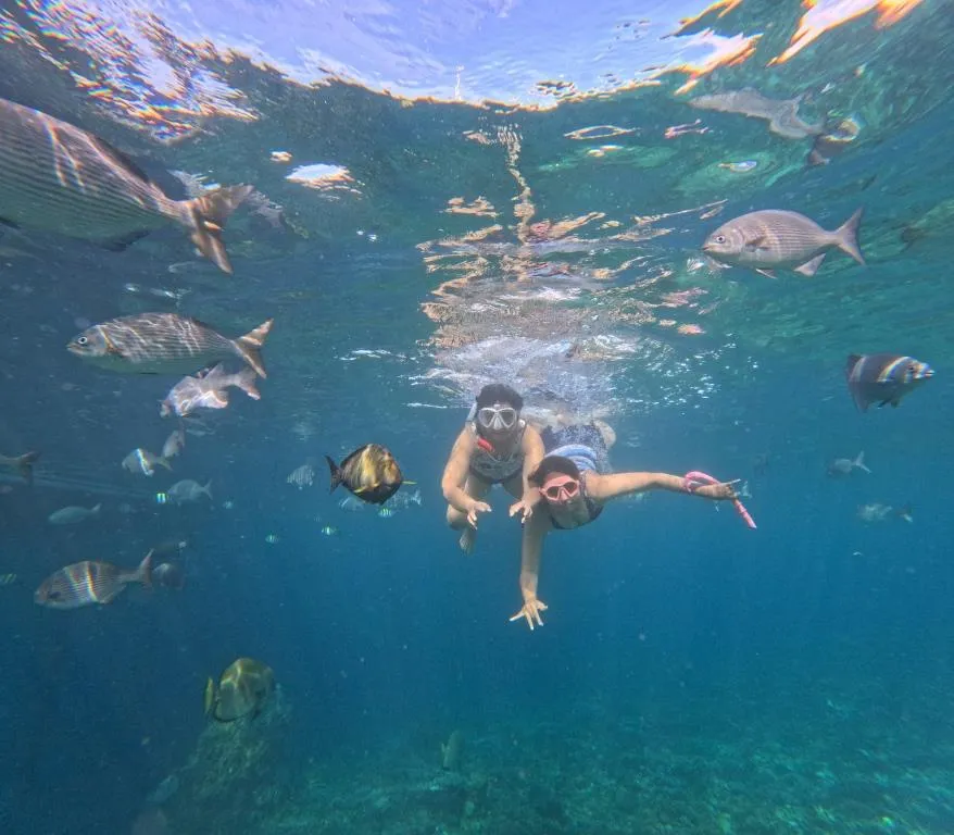 Paket tour 2 hari 1 malam Raja Ampat seru. Dapatkan pengalaman liburan yang fantastis. Pilihan utama untuk liburan singkat.